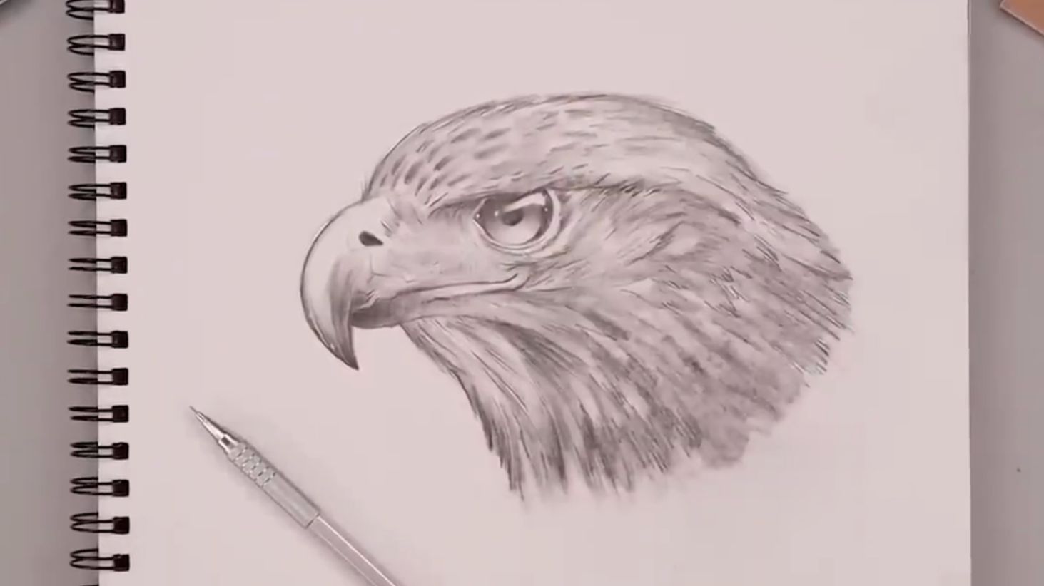 Как нарисовать Орла поэтапно карандашом профессионально смотреть онлайн