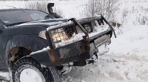 04.01.2026 - охота на лося