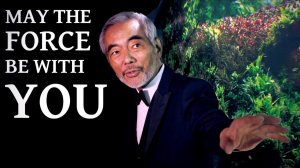 Акваскейперские страсти