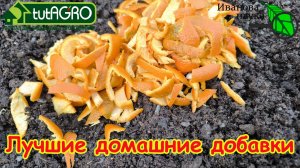 Скорлупу в уксусе не растворяю: поливаю рассаду жемчужной водой. Кофе, чай, и кожура для рассады.