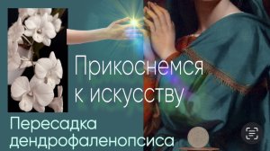 Импрессионизм в музее им. А. С. Пушкина и пересадка орхидеи. Одно другому не мешает)