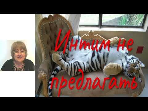 Интим не предлагать