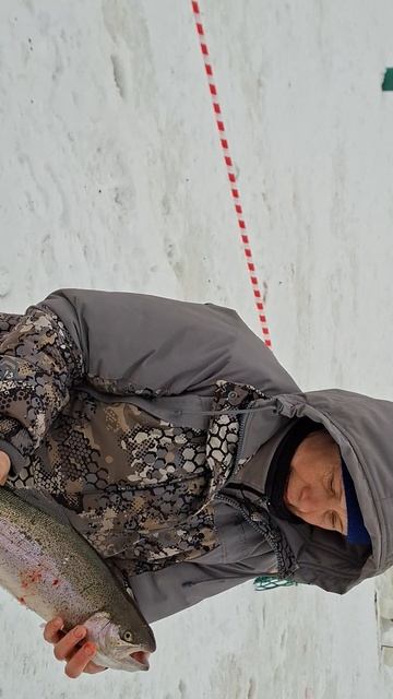 3591.mp4 смотреть онлайн