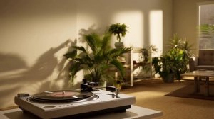 Домашний чилл