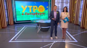 Утро в Петербурге 19 января