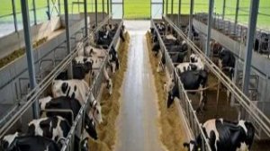 Korovnik 1 preview by nanidak (impossible)