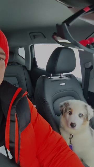 Наш новый член команды. смотреть онлайн