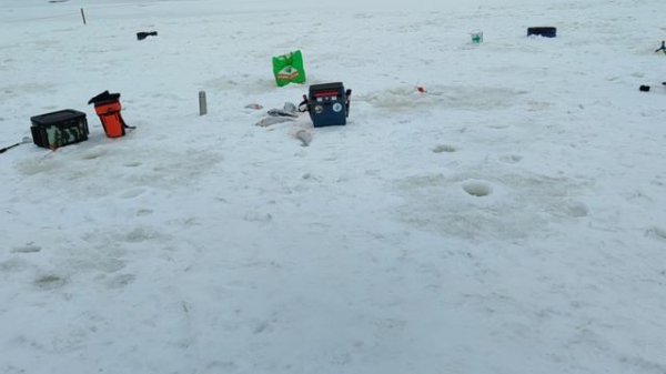 video5436051711825316794