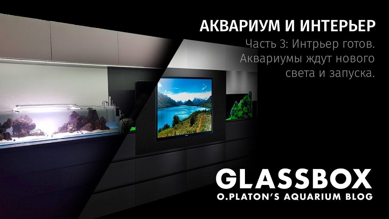 Аквариум и интерьер: 3 - Интерьер готов. Аквариумы ждут нового света и запуска. смотреть онлайн
