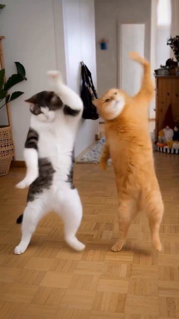 А вы знали про ШТРАФЫ за ВПН в РОССИИ? Наступил 2026 год