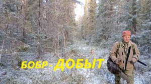 Охота на бобра капканами.Есть результат!!!  ( ноябрь 2025)