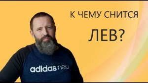 ЛЕВ. К чему снится Лев.