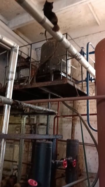 Оператор адской котельной смотреть онлайн