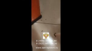 Обработка от тараканов от компании San-epidem.ru