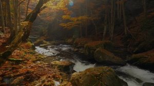 Ницше и родник