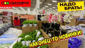 ✅В СВЕТОФОР ПОЯВИЛИСЬ ОТЛИЧНЫЕ НОВИНКИ❗️ ВАМ ТОЧНО ПОНРАВИТСЯ 🔥ОБЗОР ПОЛОЧЕК  МАЯК