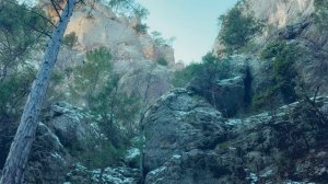 Место силы . ущелье трех гор. Ялта.