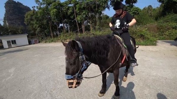 ЗАГОРОДНЫЙ ОТДЫХ В ГУАНЧЖОУ | ТУРБАЗА В КИТАЕ #laowai