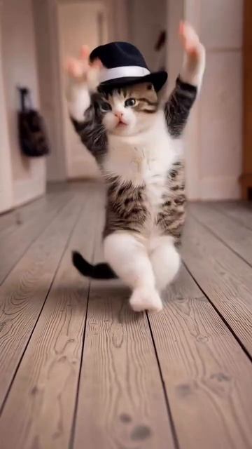 Кот танцует в шляпе ИИ