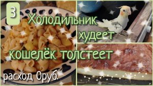 Холодильник худеет, кошелёк толстеет//день 3