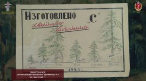 О хвое целебной замолвите слово