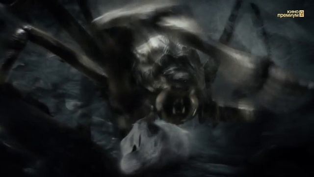 Хоббит - Пустошь Смауга.Гномы попадают в паучьи лапы. смотреть онлайн