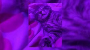 плейлист популярных песен ( speed up )