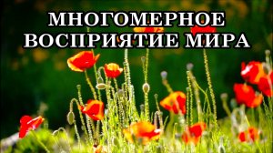 ОТКРЫВАЕТСЯ МНОГОМЕРНОЕ ВОСПРИЯТИЕ МИРА. КАК ЭТО ОЩУЩАЕТСЯ В ТЕЛЕ? ВХОЖДЕНИЕ В МНОГОМЕРНУЮ МАТРИЦУ