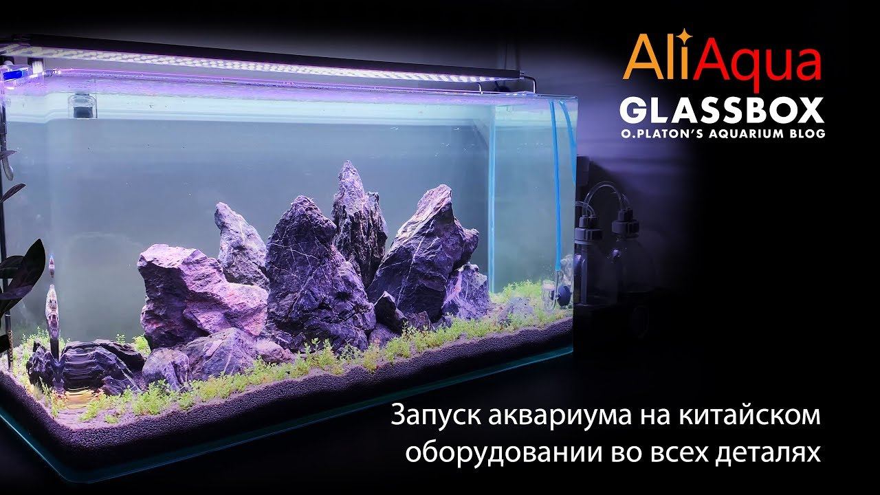 AliAqua - 4: Запуск аквариума на китайском оборудовании во всех деталях смотреть онлайн