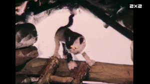 Анонс Приключения домовенка на 2х2 (12.01.2026)