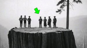 ⚡Тайна вырубки ДРЕВНИХ лесов ...