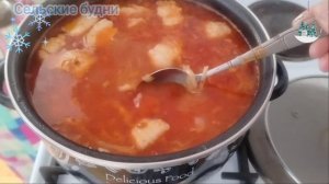 Наварила щей из домашних заготовок, семян накупила 😄