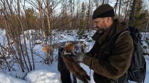 ТРЕТЬЯ ПРОВЕРКА - ПЕРВЫЙ САМОЛОВНЫЙ СОБОЛЬ ДОБЫТ. ЯНДА КОПАЕТ В КАМНЯХ. НОЧЁВКА НА ЯГОДНОЙ. 09.12.23