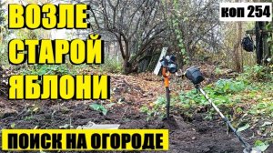ВСЕ ПРОХОДИЛИ МИМО, А Я НАШЕЛ ТО, ЧТО СКРЫВАЛА СТАРАЯ ЯБЛОНЯ! коп 254