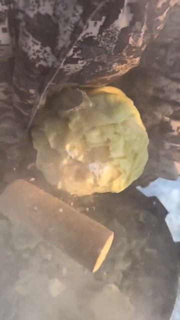 Зимнее утро: горячий завтрак на морозном воздухе 🌅❄️ смотреть онлайн