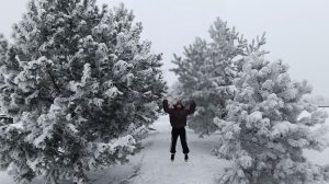 РЕМОНТ/ПЛАНЫ НА 2026 ГОД/ДОМ И ВЕЧНЫЕ ДЕЛА/БАННЫЙ ДЕНЬ/