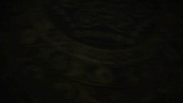 Blackwood. Иммерсивный перформанс