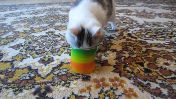 старое видео (2018)