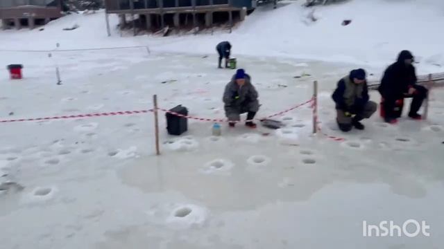 3558.mp4 смотреть онлайн