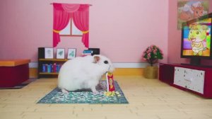 Ангелы и демоны ссорятся, кого должен слушать маленький хомячок