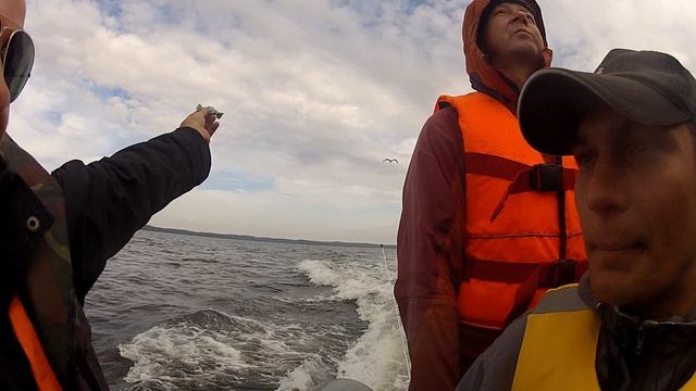 ©  "Плывем с Соловков на Кузова". GOPR0991 2013 г.