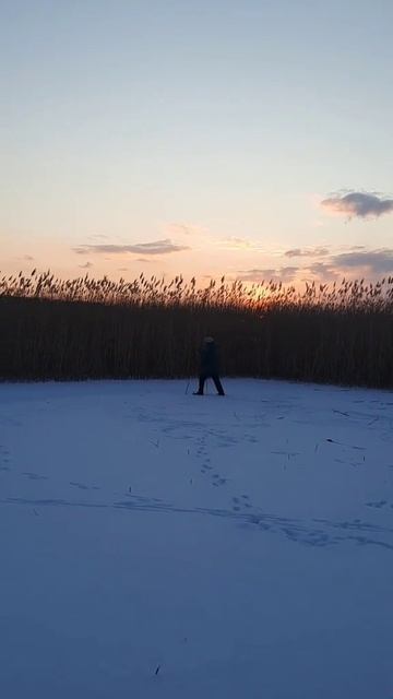 Весело жене и мне,ежедневно на лыжне! смотреть онлайн