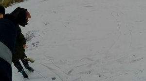 Рыбалка в Курской.