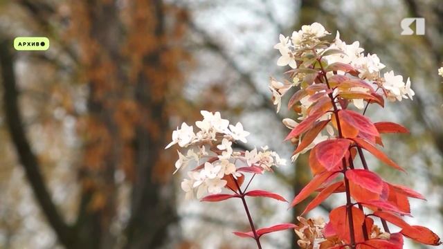 75 проектов по благоустройству реализуют в Ярославской области в 2026 году смотреть онлайн