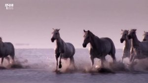 Tibetan song 2026 ༼གནས་ཆེན་པོ་ཏ་ལ།༽གཞས་པ། གཏེང་སྐྱེས་ཆོས་འཕེལ། ࿉ by Choephel 2026 Full HD