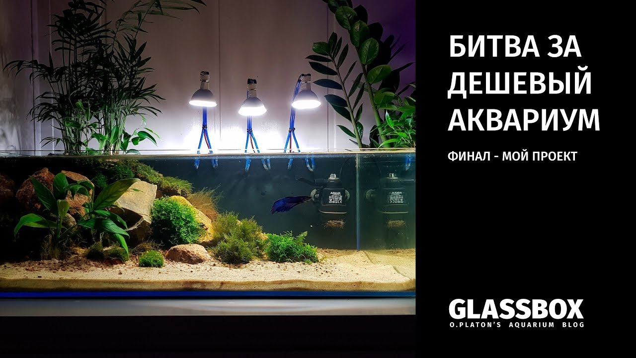 #БЗДА Финал. Мой проект. смотреть онлайн