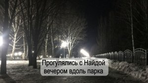 Погуляли с Найдой вечером вдоль парка / Архив от 21.03.2022
