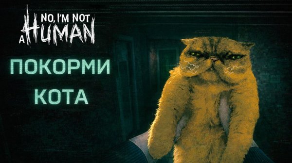 No Im not a Human КУЛЬТ СМЕРТИ и КОШАЧИЙ КОРМ прохождение #6 Я не человек