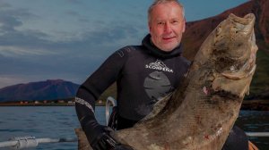 ЭТО НЕ СУДАК ЭТО ПАЛТУС РЕБЯТА ! ПОДВОДНАЯ ОХОТА ЗА ПОЛЯРНЫМ КРУГОМ