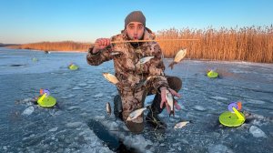 Зимняя рыбалка на Экраны и Жерлицы. Кто то проверил жерлицы и украл щуки